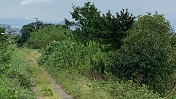 住民の方の道路に関するご要望