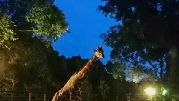 建設委員会経済企業委員会県内視察報告(その5)『とべもり』