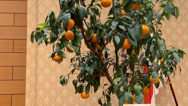 令和3年度総務委員会の副委員長を拝命致しました。