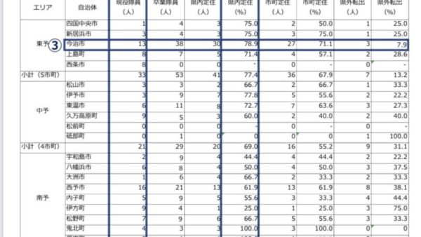愛媛県の地域起こし協力隊の現状