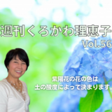 週刊くろかわ理恵子Vol.56(6/4号)